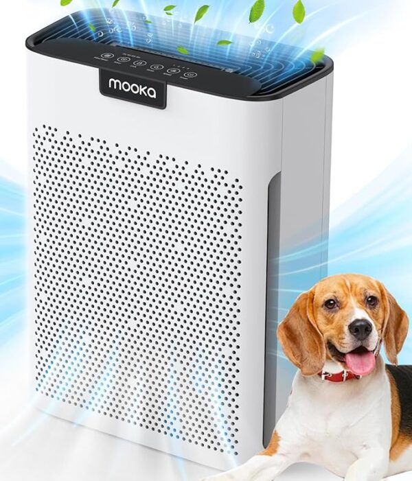 Air Purifiers for Home Large Room 2000 Ft² with Washable Filters