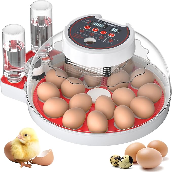 Egg Incubator with Automatic Egg Turning and Humidity Control, Incubators for Hatching Eggs, Panoramic 360°View Chicken Incubator, Chicken Egg Incubator (Red)