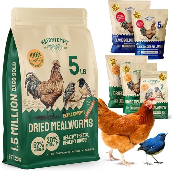 Dried Mealworms 5 lbs - Organic Non GMO Chicken Feed - High Protein Poultry Feed - Mealworms for Chickens, Wild Birds & Laying Hens